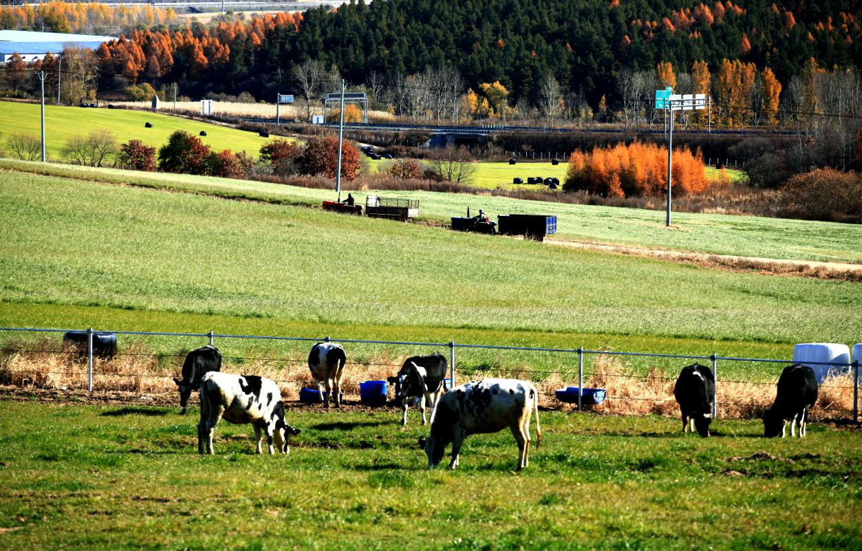 5dad6d76906d9.jpg 4.jpg