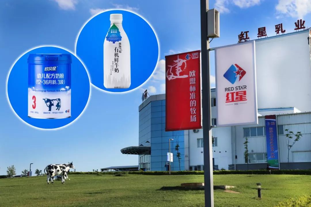 5dad6f75c731c.jpg 7.jpg